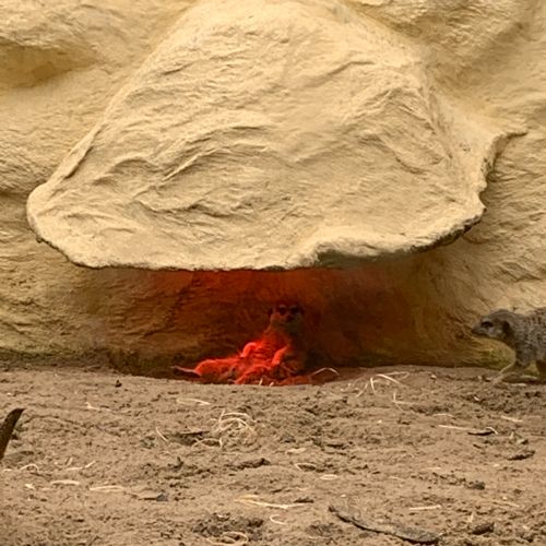 IMG0606